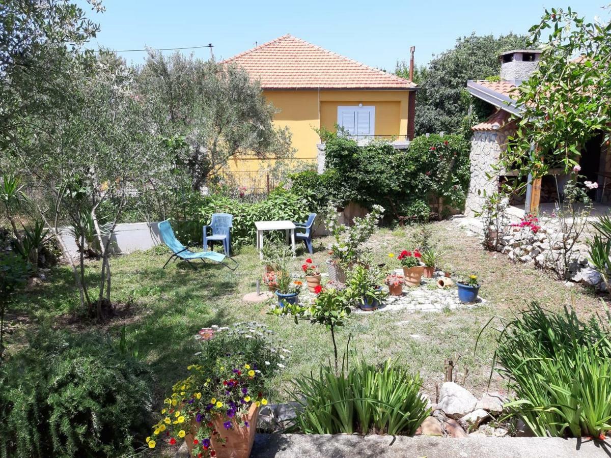 Apartman Suzana Sindija Bibinje Exterior foto